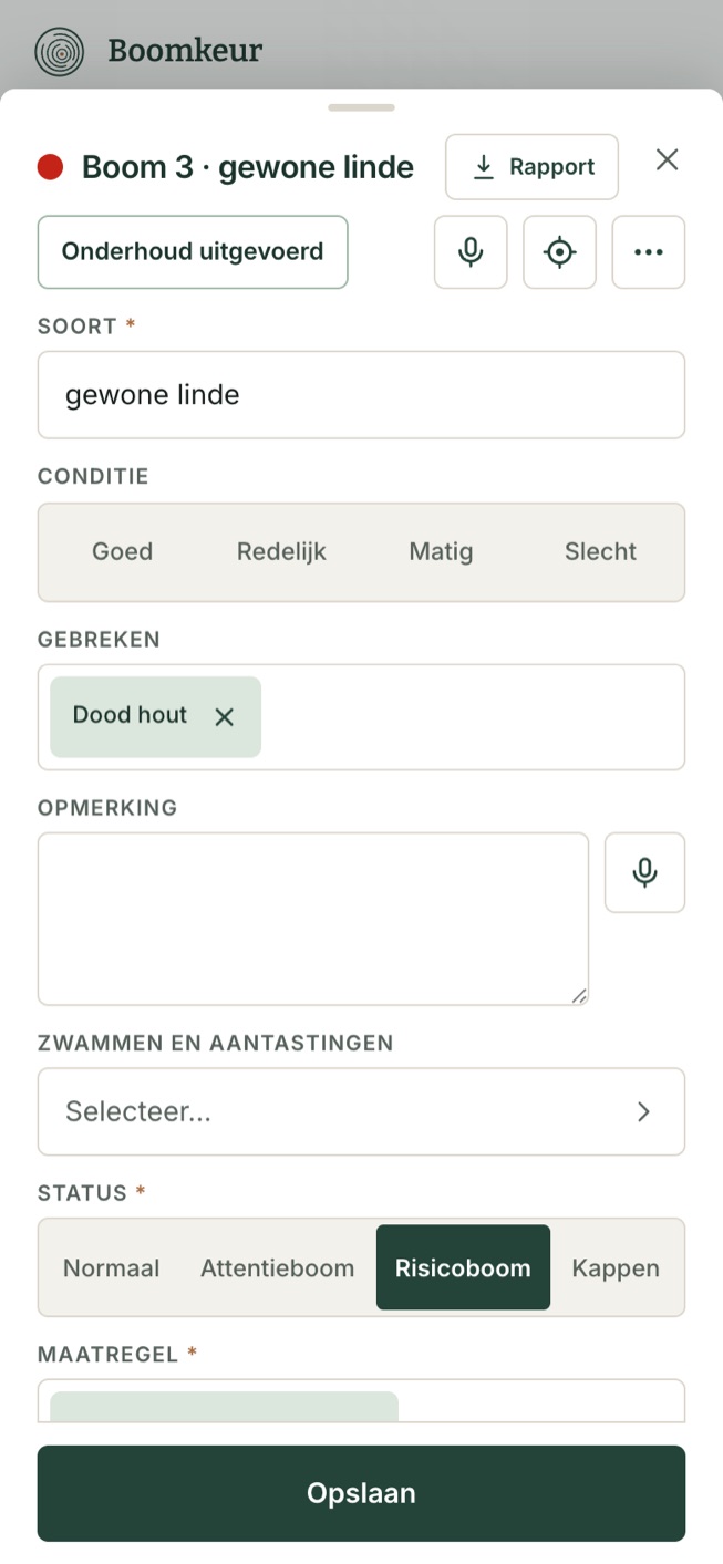 Het boomformulier met de standaardvelden van een controle