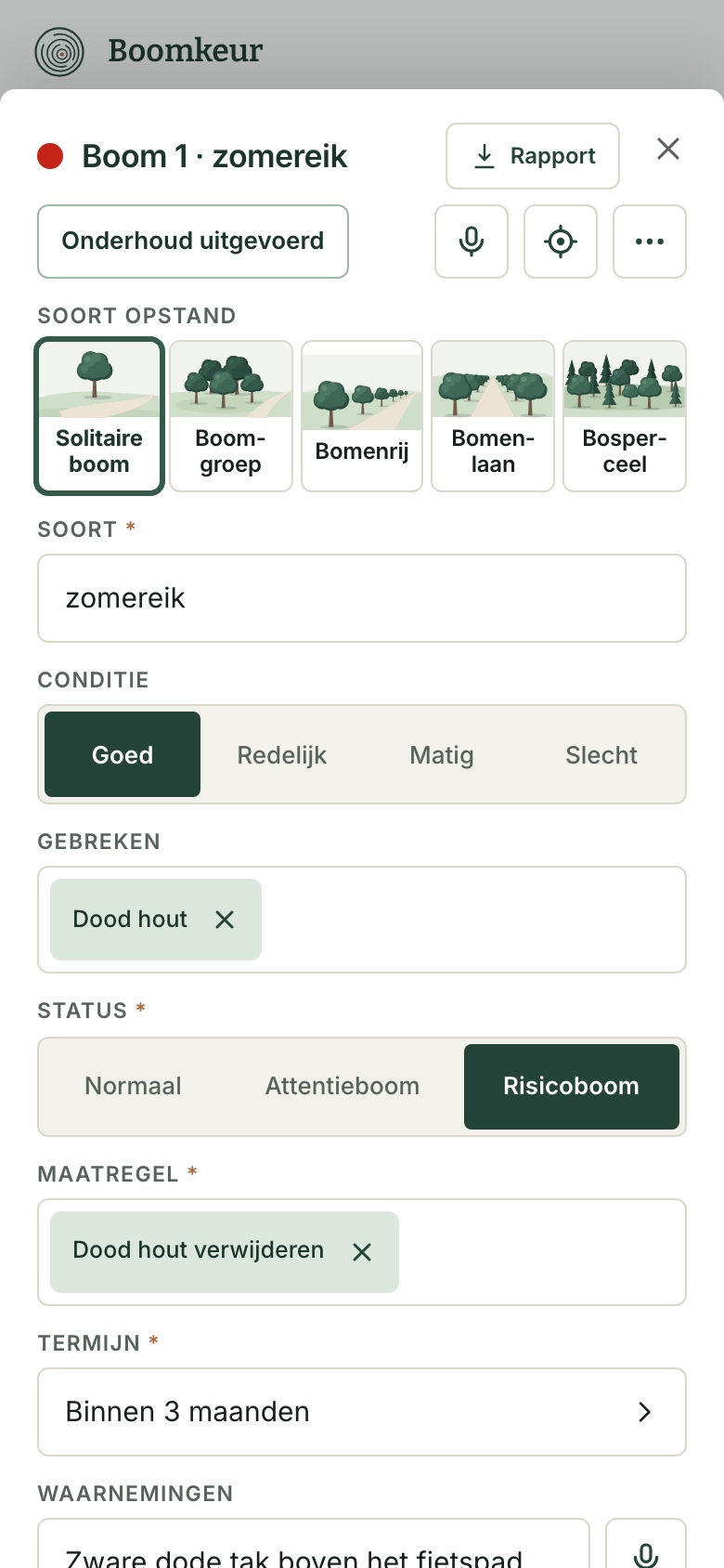 Invulformulier van een boom in Boomkeur, met soort opstand, soort, conditie, gebreken, status en maatregel